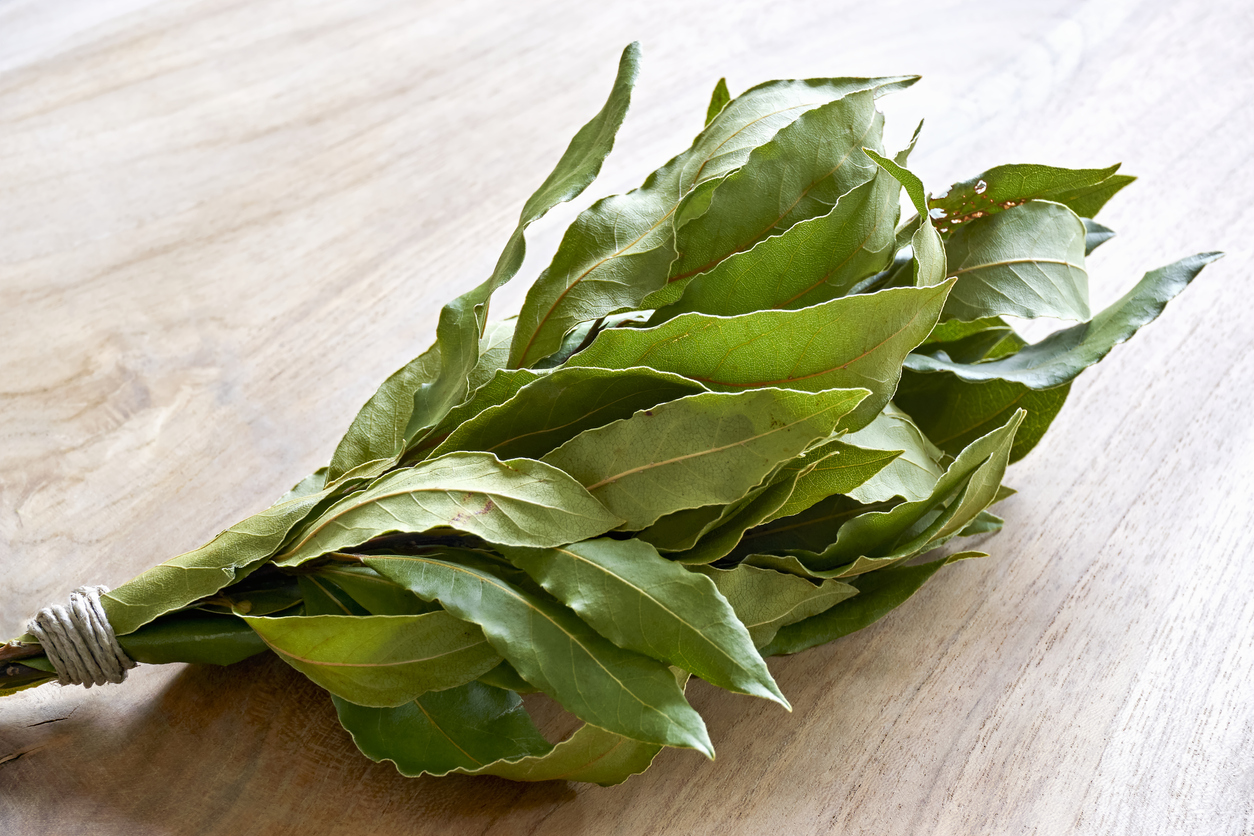 Bay Leaves - Tropical Imports & Exports