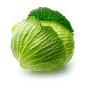 Cabbage