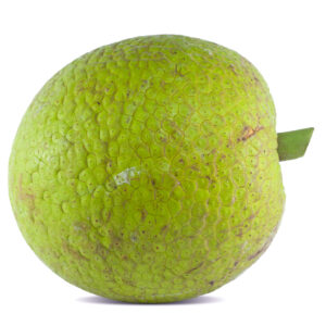 Breadfruit /lb