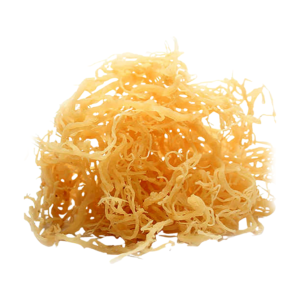 Sea Moss (Gold) 2 oz.