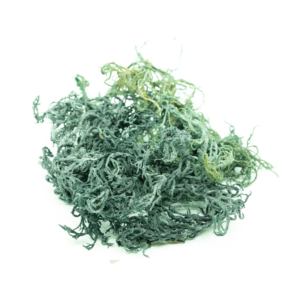 Sea Moss (Green) 2 oz.