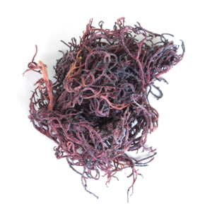 Sea Moss (Purple) 2 oz.